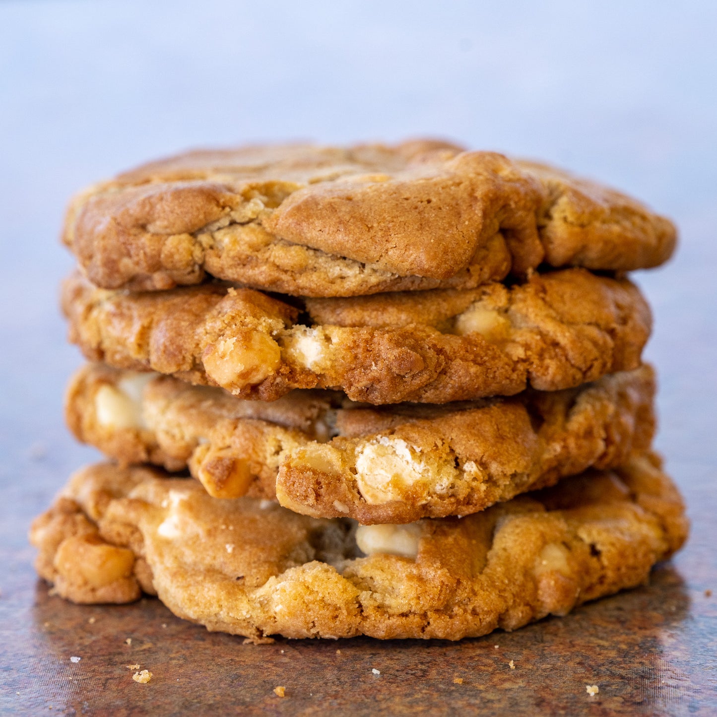 White Chocolate Chip Macademia Nut Cookie 4 pack