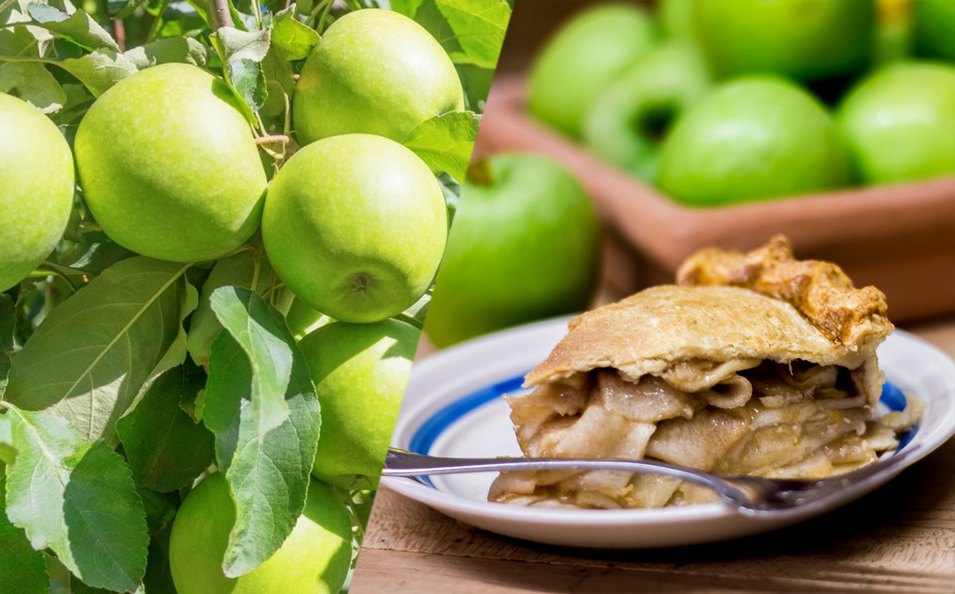 Green Apples on a tree in one half of the photo and ikedas apple pie on the other half